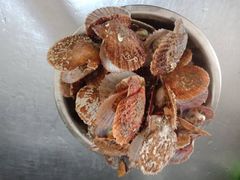 -宾朋海鲜美食特色餐厅·纯手工鲅鱼水饺(兴海路店)