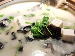 -姜君·千岛湖鱼头馆(浦东大道店)