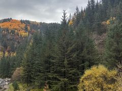 -芦芽山旅游度假区