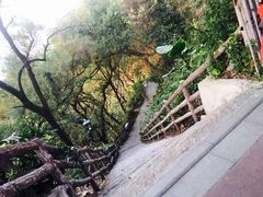 -金鸡山公园