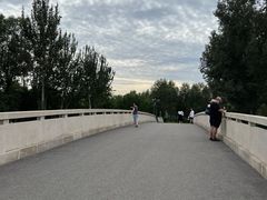 -东郊湿地公园
