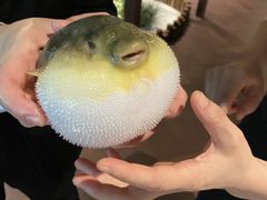 -肆月河豚·淮扬菜·湘菜(华天店)