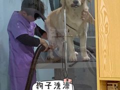 -中农大我爱我爱动物医院·核磁CT·猫病·24小时夜诊中心(石佛营店)