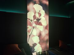 -臻享足道·HIFI影院足疗SPA(成华店)