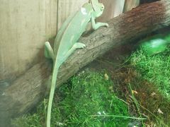 -上海昆虫博物馆