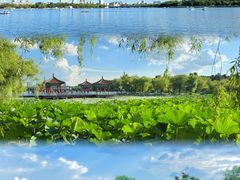 -长春市南湖公园