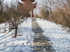 -青城公园