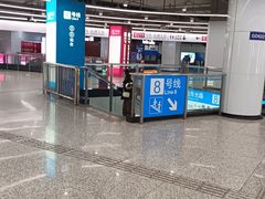 -东方体育中心(地铁站)