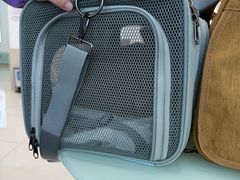 -北京观赏动物医院·24小时大型综合·猫专科·异宠专科