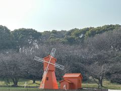 -苏州上方山国家森林公园