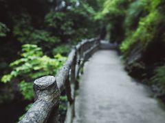 -石台牯牛降景区