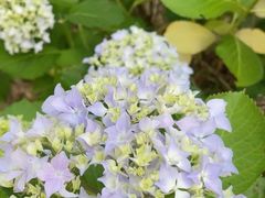 -玄武湖景区-情侣园游乐场