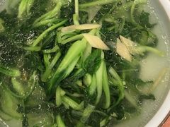 生态鸡毛菜-西新饭店(城中店)