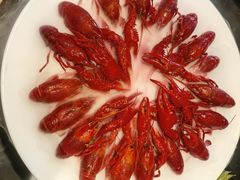 精品冰镇龙虾-红盔甲·小龙虾(人民广场店)