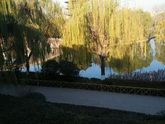 android_upload_pic-鹊华居·地道鲁菜·海鲜·融合味(大明湖店)