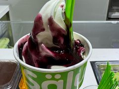 -Salud撒露欧洲冻酸奶(北苑上品店)