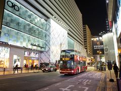 -Big Bus Tours 敞篷观光巴士