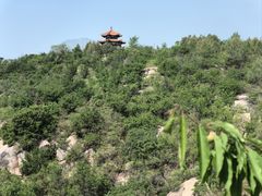 -白水寺森林公园