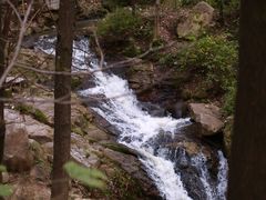 -秦岭风景区