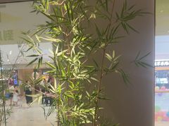 -绿茶餐厅(淮安吾悦广场店)