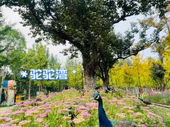 -静之湖度假区