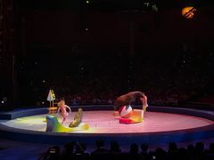 -珠海横琴长隆《卡卡虎奇遇记》