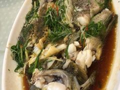 清蒸老虎斑鱼-四海之家(蛇口店)