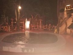 -天门沟九州驿站树上汤泉