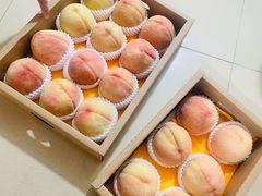 -老袁家蜜桃农场·阳山水蜜桃