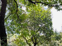 -元大都城垣遗址公园