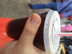 罗汉果龙眼冰糖燉冬瓜-罗汉果龙眼冰糖燉冬瓜
