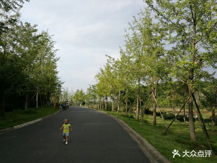 藏龍島國家溼地公園圖片