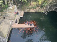 -千岛湖东南湖区