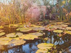 -国家植物园南园