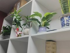 -国医整脊馆(武夷路店)
