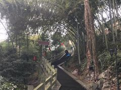 -阿巧茶庄