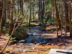 -五营红松林海景区