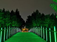-南翔镇银翔湖公园