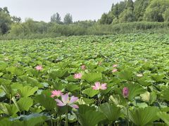 -云龙湖旅游景区