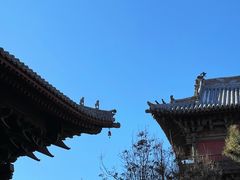 -善化寺
