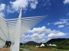 -风云岭森林公园