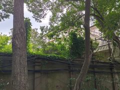 -张学良故居