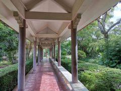 -大屏嶂森林公园