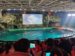 -威海华夏城景区