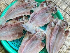 -西归浦每天偶来市场