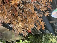 -城墙拐拐火锅(三峡广场黑金冠店)