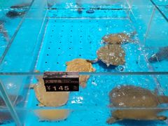 -艳阳天·非遗楚菜(武汉客厅店)