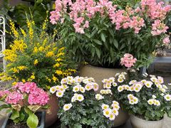 -凤来栖·净庭院·火锅(欧尚店)