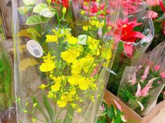-双季花艺园艺市场(浦东店)