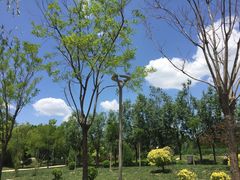 -武清南湖绿博园